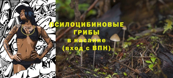 кристаллы Медногорск