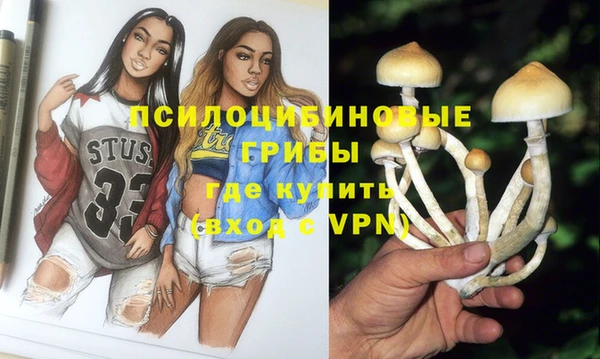 гидропоника Крымск