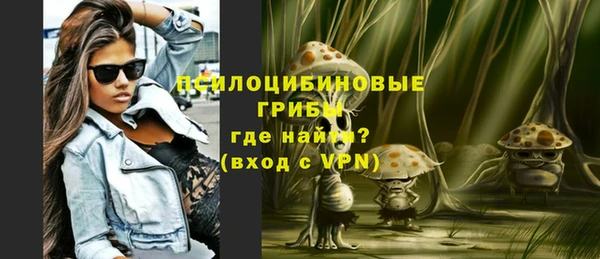 синтетический гашиш Медвежьегорск