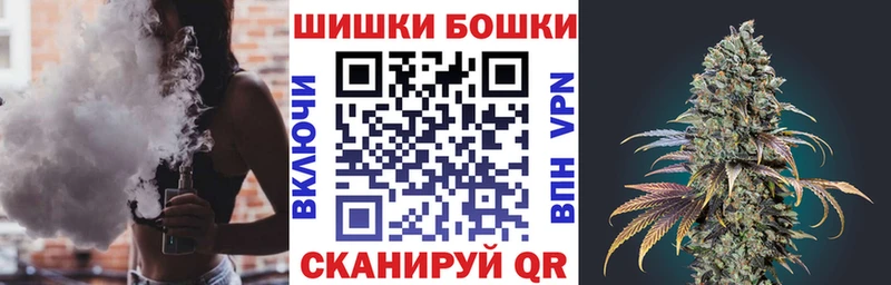 Канабис OG Kush  Новосокольники 